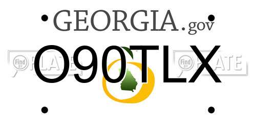 O90TLX Georgia License Plate