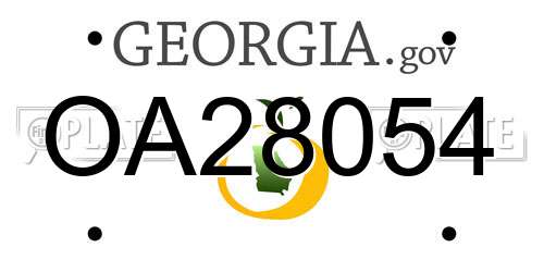 OA28054 Georgia License Plate