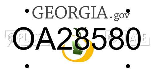 OA28580 Georgia License Plate