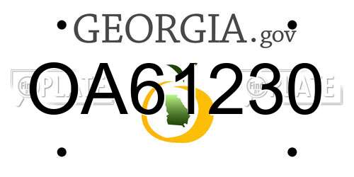 OA61230 Georgia License Plate