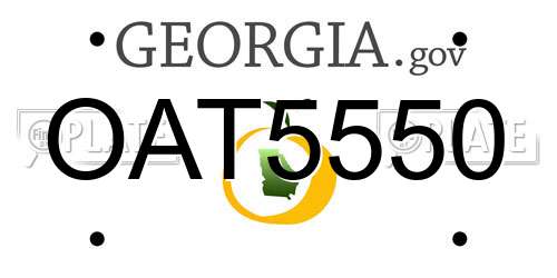 OAT5550 Georgia License Plate
