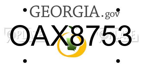 OAX8753 Georgia License Plate