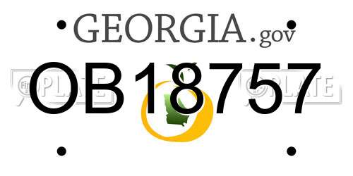 OB18757 Georgia License Plate