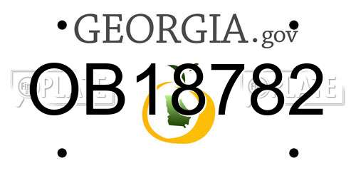 OB18782 Georgia License Plate