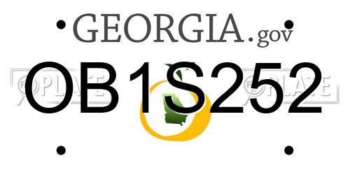 OB1S252 Georgia License Plate