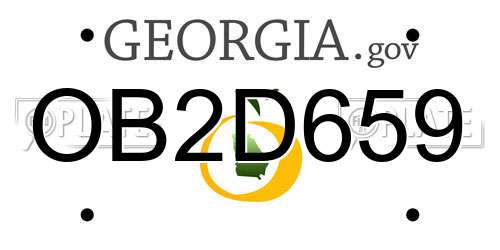 OB2D659 Georgia License Plate