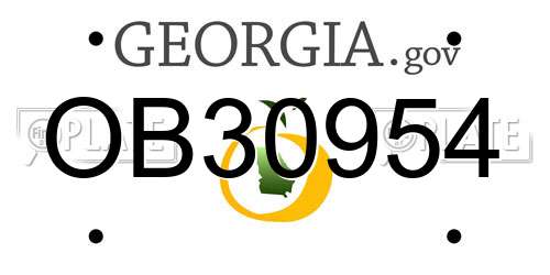 OB30954 Georgia License Plate