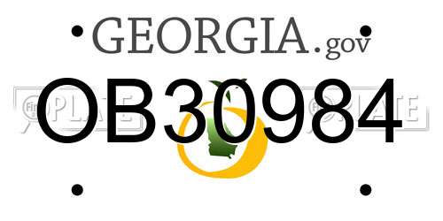 OB30984 Georgia License Plate