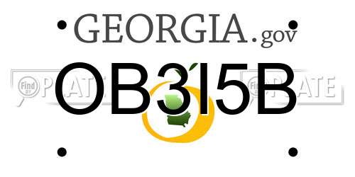 OB3I5B Georgia License Plate