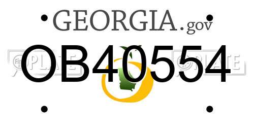 OB40554 Georgia License Plate