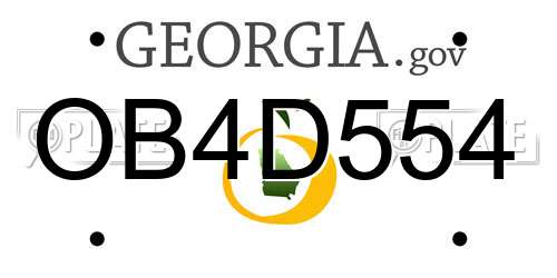 OB4D554 Georgia License Plate