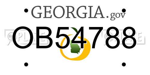 OB54788 Georgia License Plate
