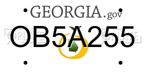 OB5A255 Georgia License Plate