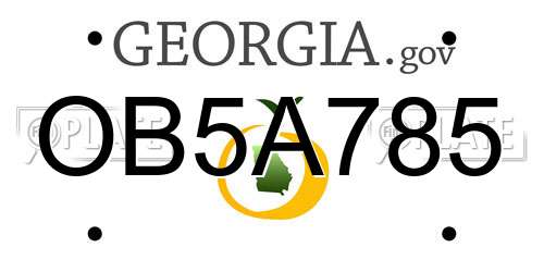 OB5A785 Georgia License Plate