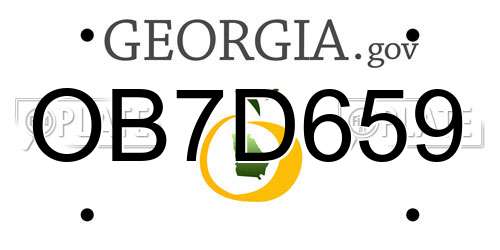 OB7D659 Georgia License Plate