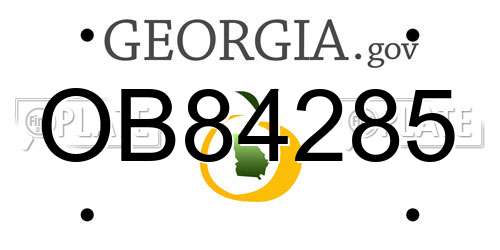 OB84285 Georgia License Plate