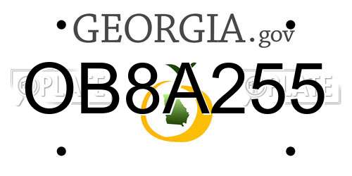 OB8A255 Georgia License Plate