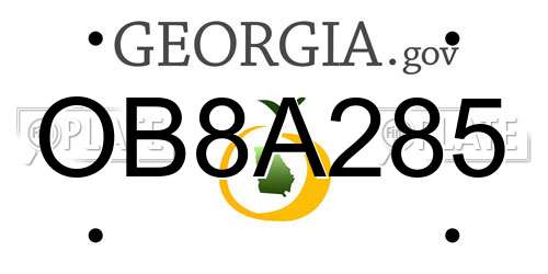 OB8A285 Georgia License Plate