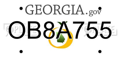 OB8A755 Georgia License Plate