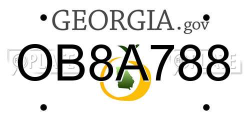 OB8A788 Georgia License Plate