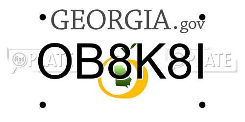 OB8K8I Georgia License Plate