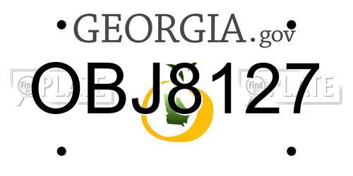 OBJ8127 Georgia License Plate