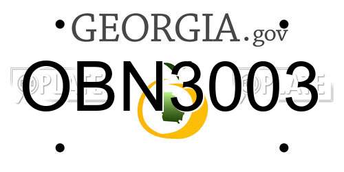OBN3003 Georgia License Plate