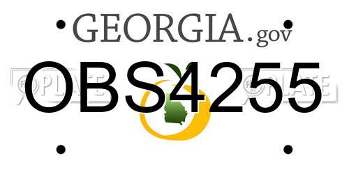 OBS4255 Georgia License Plate