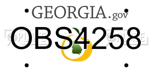 OBS4258 Georgia License Plate