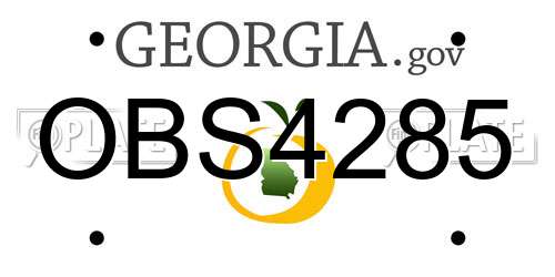 OBS4285 Georgia License Plate