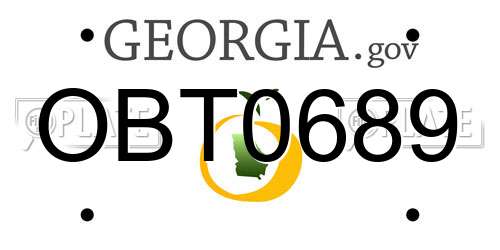 OBT0689 Georgia License Plate