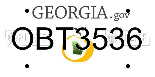 OBT3536 Georgia License Plate