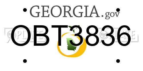 OBT3836 Georgia License Plate