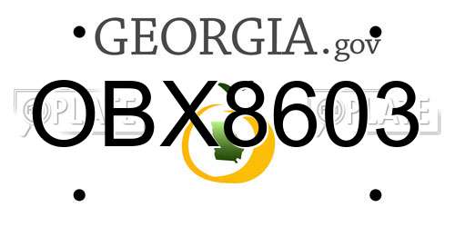 OBX8603 Georgia License Plate