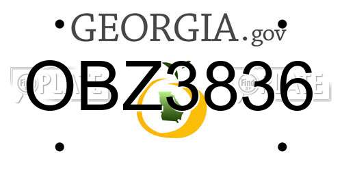OBZ3836 Georgia License Plate