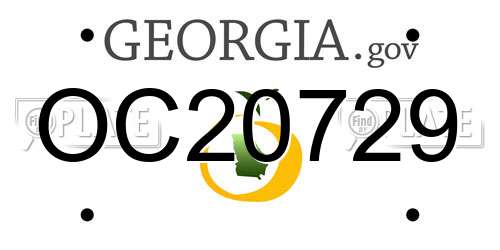 OC20729 Georgia License Plate