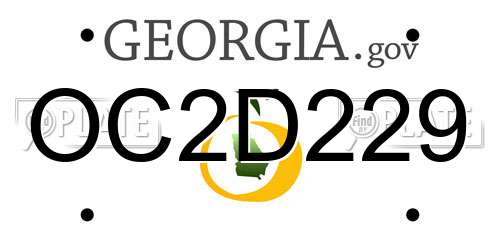 OC2D229 Georgia License Plate