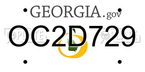 OC2D729 Georgia License Plate