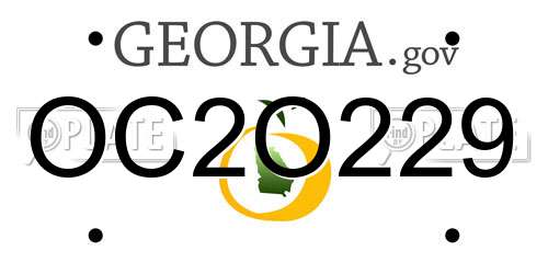 OC2O229 Georgia License Plate