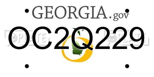 OC2Q229 Georgia License Plate