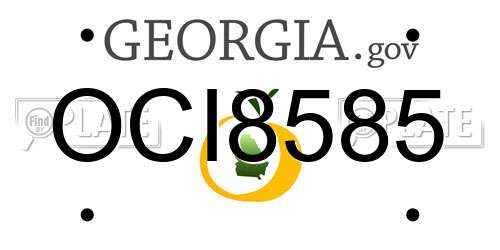 OCI8585 Georgia License Plate