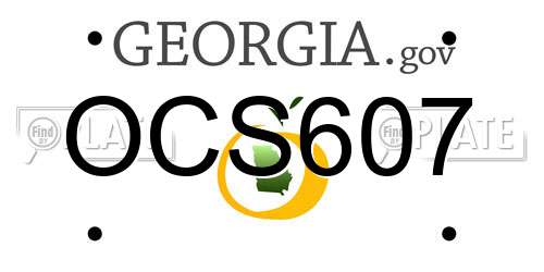 OCS607 Georgia License Plate