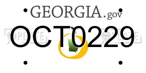 OCT0229 Georgia License Plate