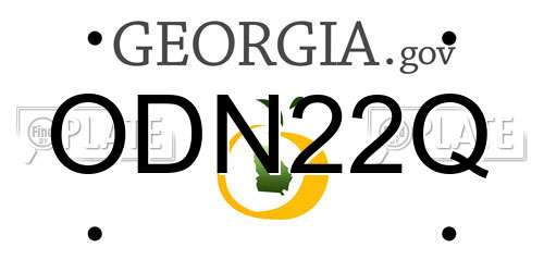 ODN22Q Georgia License Plate