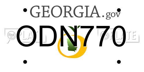 ODN770 Georgia License Plate