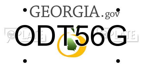 ODT56G Georgia License Plate