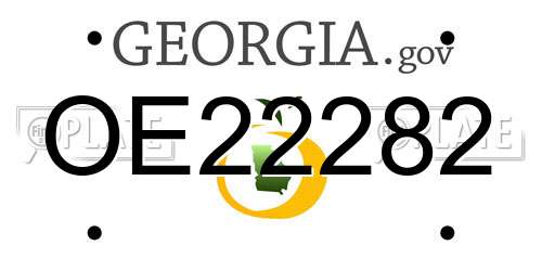 OE22282 Georgia License Plate