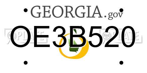 OE3B520 Georgia License Plate