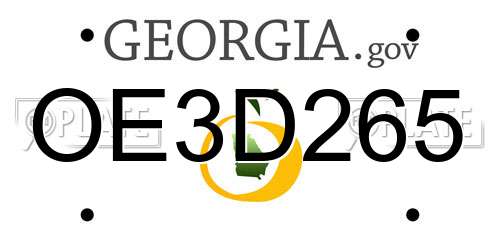 OE3D265 Georgia License Plate