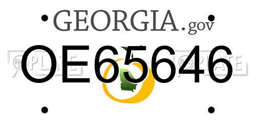 OE65646 Georgia License Plate